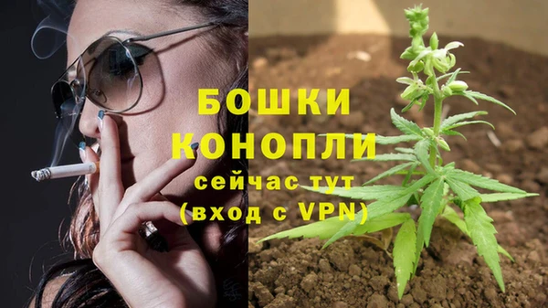 МДМА Карпинск